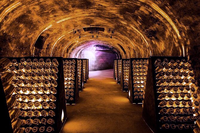 Full-Day Private Champagne Tasting in Reims and Its Vineyards - Cancellation Policy