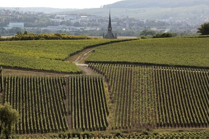 Full-Day Private Champagne Tasting in Reims and Its Vineyards - Questions and Pricing
