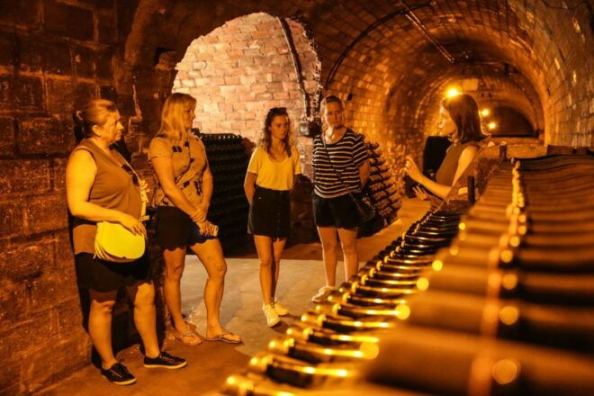 Full Day Private Champagne Tour From Reims - Tour Itinerary