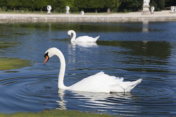 Full-Day Private Chantilly Castle Tour From Paris - Additional Activities