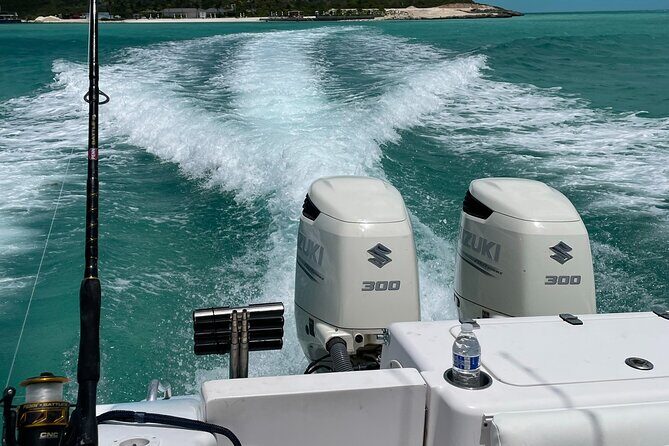 Full Day Private Charter Bottom Fishing Experience - An Authentic Day on the Water: What to Expect