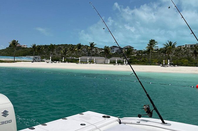Full Day Private Charter Bottom Fishing Experience - In The Sum Up