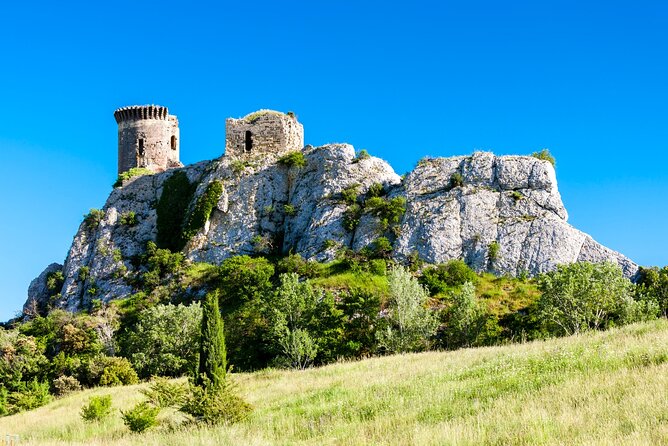 Full-Day Private Chateauneuf Du Pape Wine Tour From Avignon - Wine Tasting Experience