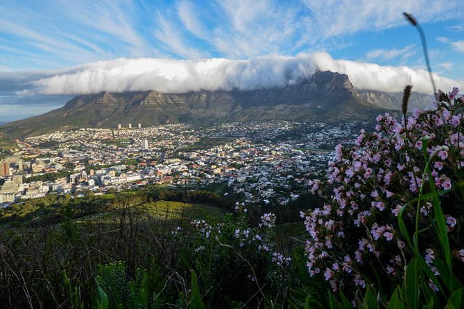 Full Day Private City & Kirstenbosch Gardens - Tour Overview and Itinerary
