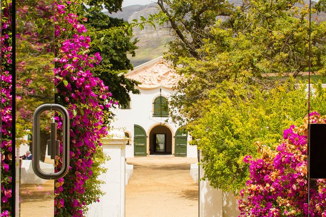 Full Day Private Constantia Wine Tour - Meeting and Pickup