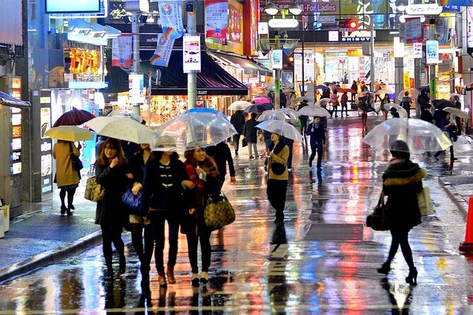 Full Day Private Day Trip in Tokyo City - Pricing Information