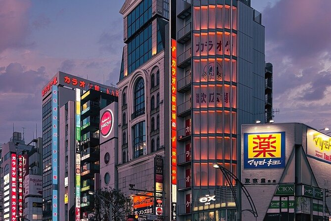 Full Day Private Day Trip in Tokyo City - The Sum Up