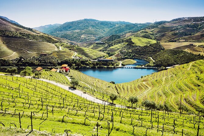 Full-Day Private Douro Valley Wine Tour Experience From Porto - Good To Know