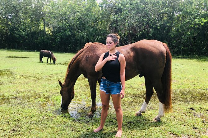 Full-Day Private Experience Wellness Program in Palm Beach - Program Highlights
