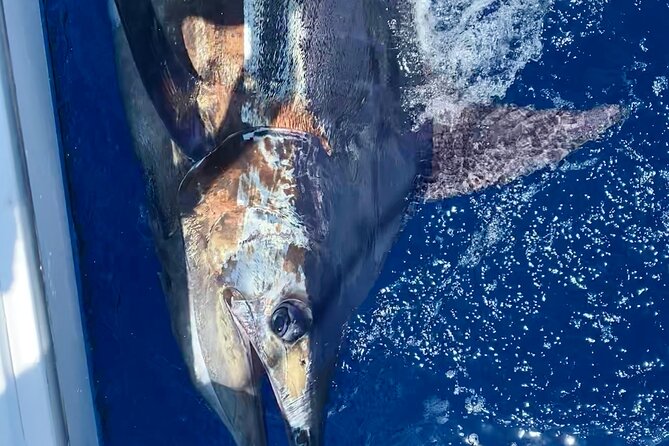 Full-Day Private Fishing Adventure in Madeira - Fishing Gear and Equipment Provided