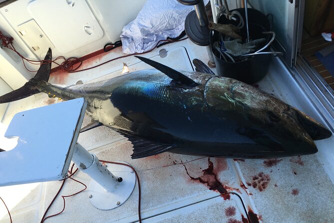 Full Day Private Fishing for Giant Tuna - Pricing and Booking Details