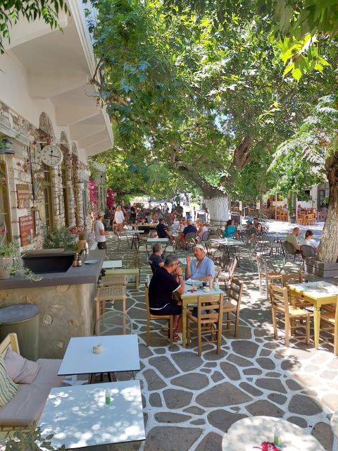 Full-Day Private food tour in Naxos local Villages - Is This Tour Worth It?