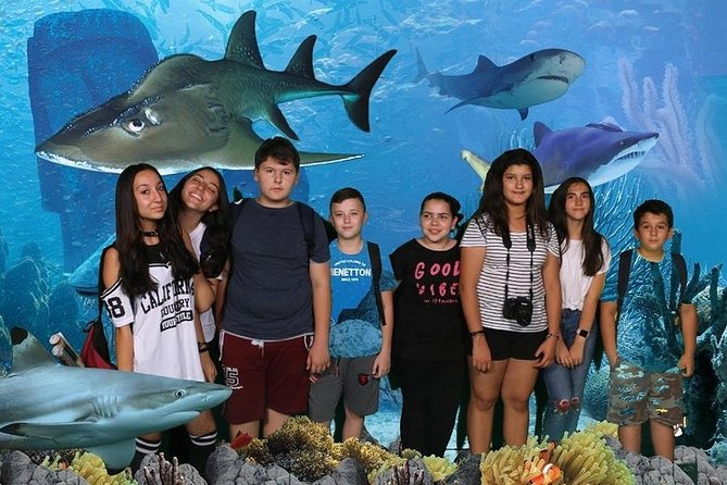 Full-Day Private Fun Cultural Guided Tour of London for Kids - Pricing and Guarantee