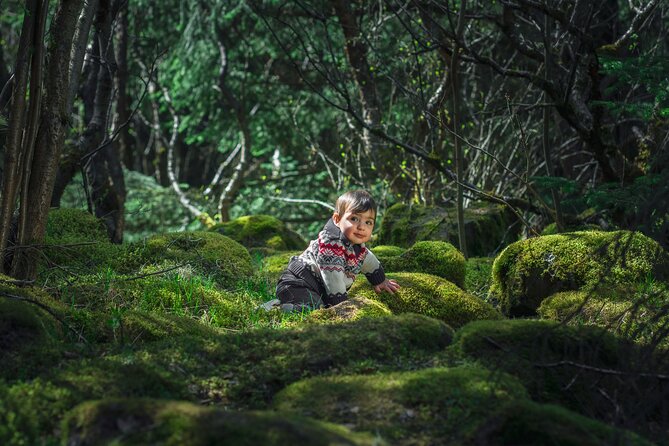 Full-Day Private Golden Circle Photography Tour in Iceland - Questions and Terms