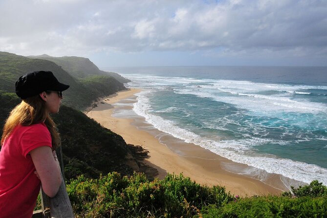 Full-Day Private Group Great Ocean Road Tour From Melbourne - Common Questions