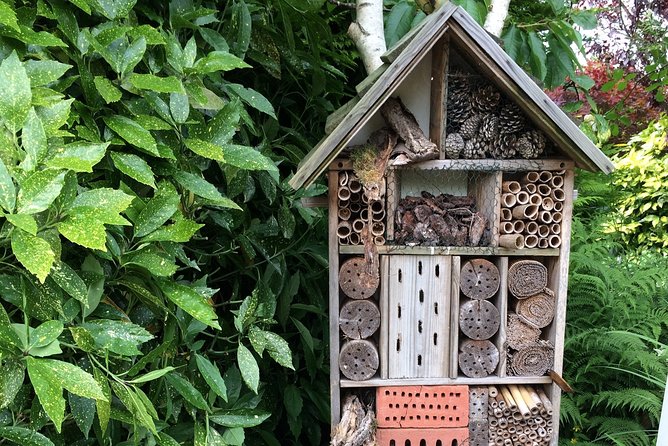 Full-Day Private Guided Countryside Tour of Amsterdam by Bike - Meeting Point and Pickup
