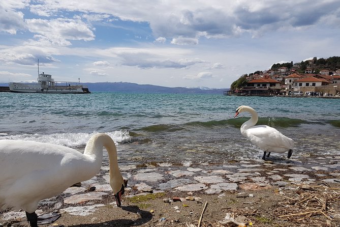 Full-Day Private Guided Cultural Tour of Ohrid From Skopje - Pricing Information