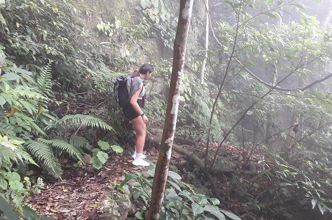 Full-Day Private Guided Hiking Tour of Ba Vi National Park - Authentic Experiences & Insights from Reviewers  