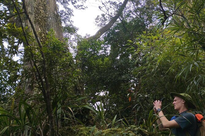 Full-Day Private Guided Hiking Tour of Ba Vi National Park - FAQs  