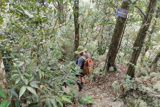 Full-Day Private Guided Hiking Tour of Ba Vi National Park - Exploring Hidden Trails and Colonial Ruins