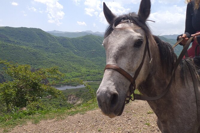 Full-Day Private Guided Horseback Ride Through Dzoraget Canyon - Pricing Information