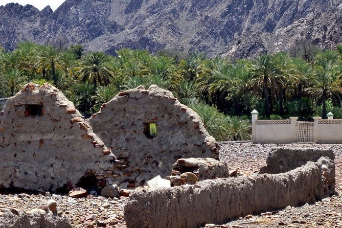 Full-Day Private Guided Safari Tour in Hatta - Tour Highlights