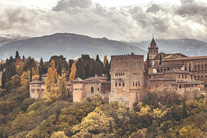 Full-Day Private Guided Tour in Alhambra From Costa Del Sol - Meeting and Pickup