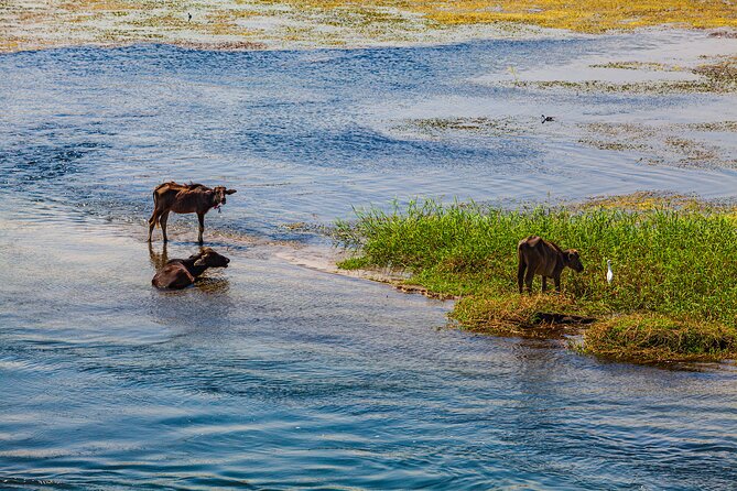 Full Day Private Guided Tour in Esna and Edfu From Luxor - Important Reminders