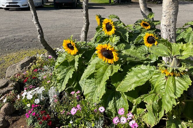 Full Day Private Guided Tour in Golden Circle of Iceland - Tour Details and Duration