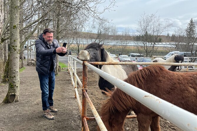 Full Day Private Guided Tour in Golden Circle of Iceland - Weather Conditions and Refunds