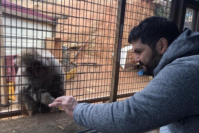 Full-Day Private Guided Tour in Kyoto, Arashiyama: Temple and Nature - Visiting the Famous Monkey Park