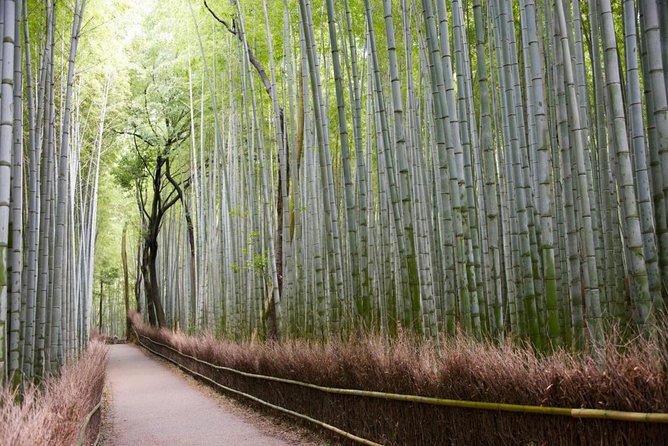 Full-Day Private Guided Tour in Kyoto, Arashiyama: Temple and Nature - Common Questions