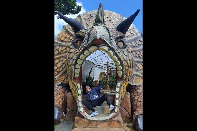 Full Day Private Guided Tour in North Bali - What Reviewers Say and Extra Insights