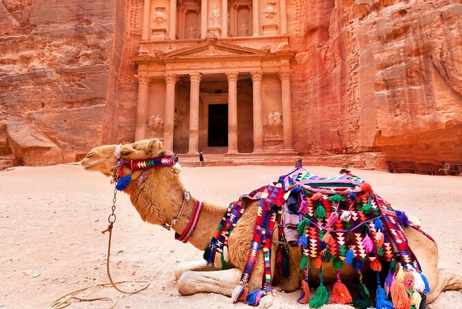 Full Day Private Guided Tour in Petra - Additional Information