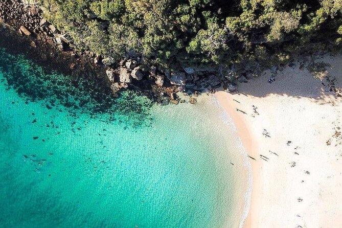Full-Day Private Guided Tour in Sydney - Insider Tips for the Full-Day Private Guided Tour