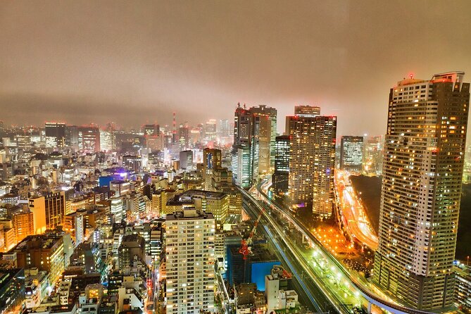 Full-Day Private Guided Tour in Tokyo - Traveler Photos and Reviews