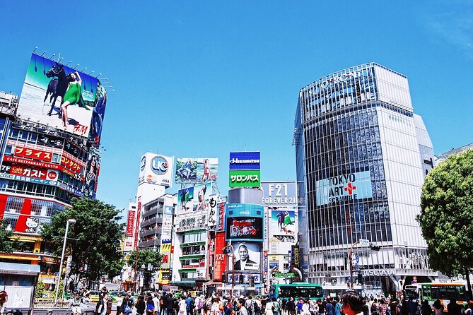 Full-Day Private Guided Tour in Tokyo - Directions