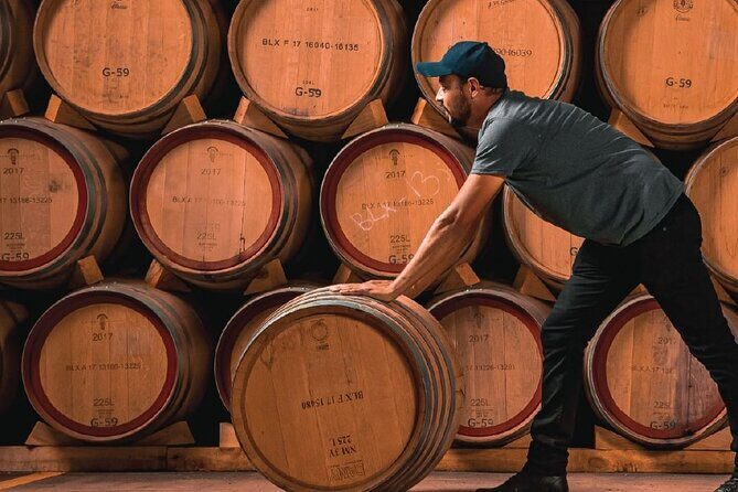 Full Day Private Guided Tour of Arandas Jalisco Distilleries - Introduction