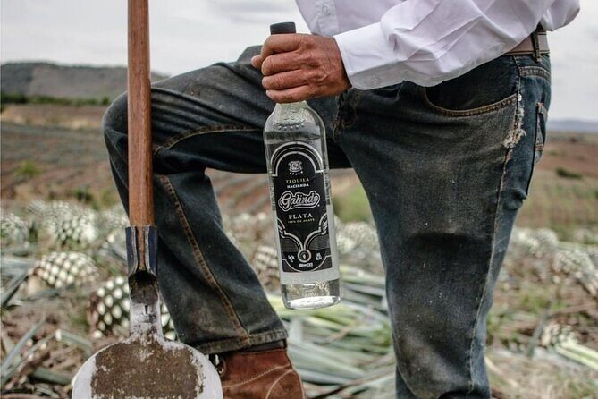 Full Day Private Guided Tour of Arandas Jalisco Distilleries - Frequently Asked Questions