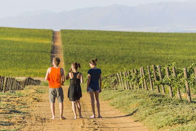 Full-Day Private Guided Tour of Champagne Wih Hotel Pickup - Tour Highlights