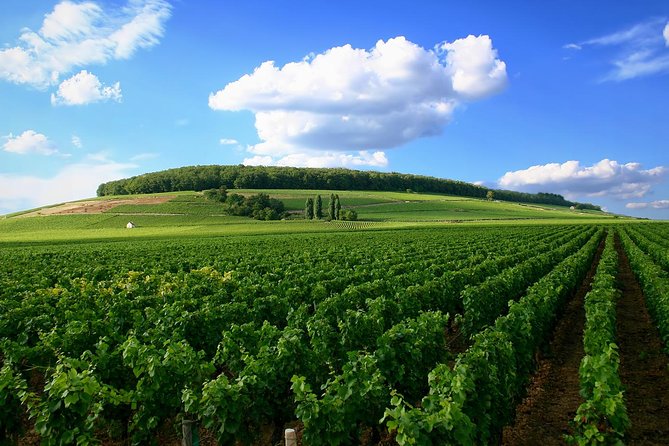 Full-Day Private Guided Tour of Champagne Wih Hotel Pickup - Booking Information