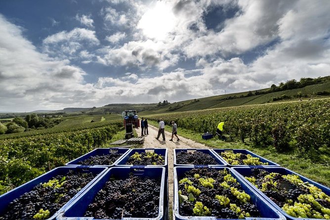 Full-Day Private Guided Tour of Champagne Wih Hotel Pickup - Common Questions