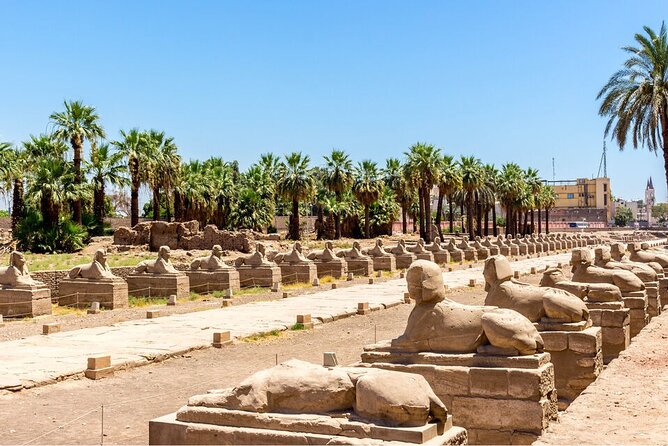 Full-day Private Guided Tour of East and West Bank in Luxor - The Sum Up