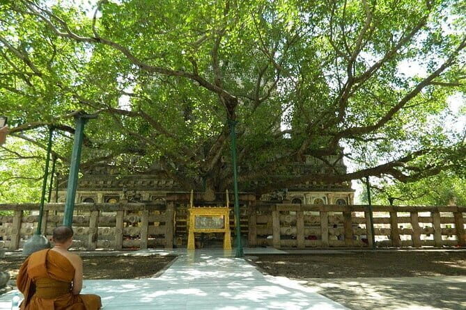 Full day Private Guided Tour of Sarnath from Varanasi - Exploring Sarnath from Varanasi: A Practical Guide to an Enlightening Day