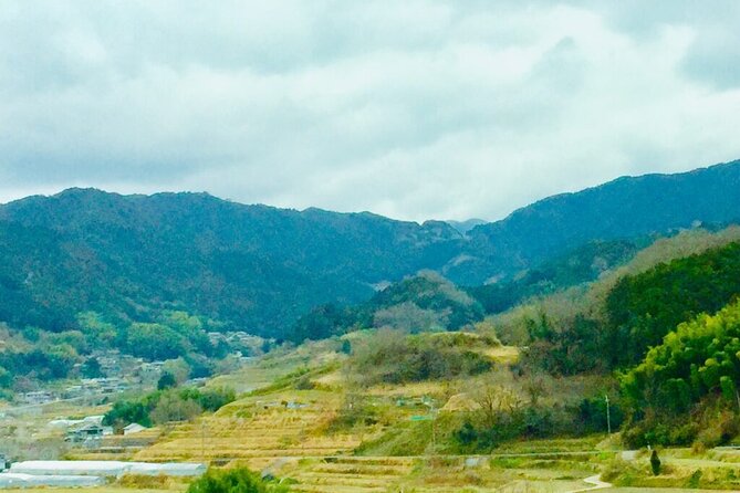 Full-Day Private Guided Tour to Asuka, Ancient Capital of Japan - Reviews and Ratings