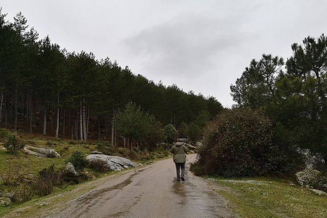 Full-Day Private Guided Tour to Guadarrama National Park - Itinerary Overview