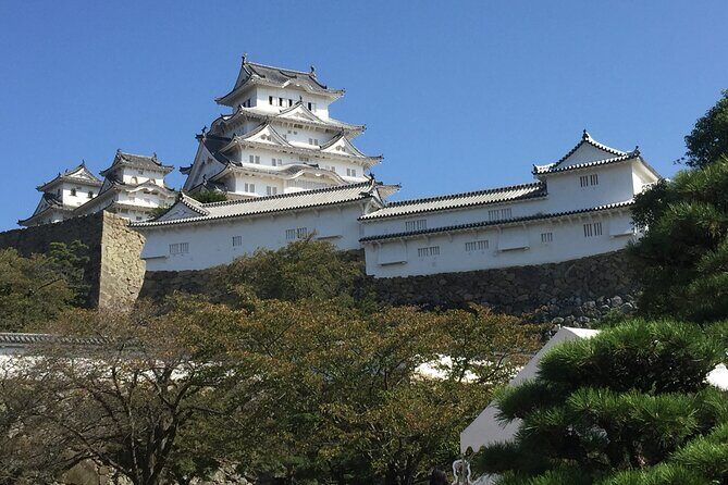 Full-Day Private Guided Tour to Himeji and Kobe - Good To Know