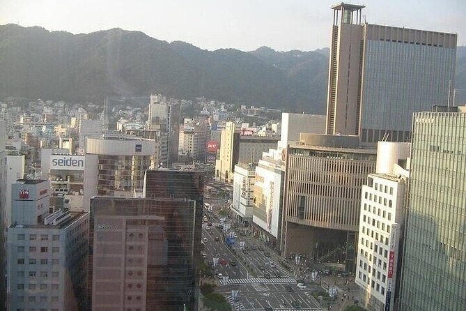 Full-Day Private Guided Tour to Himeji and Kobe Cities - The Sum Up