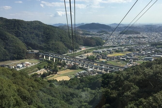 Full-Day Private Guided Tour to Himeji Castle - Tour Highlights