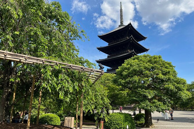 Full-Day Private Guided Tour to Kyoto Temples - Reviews